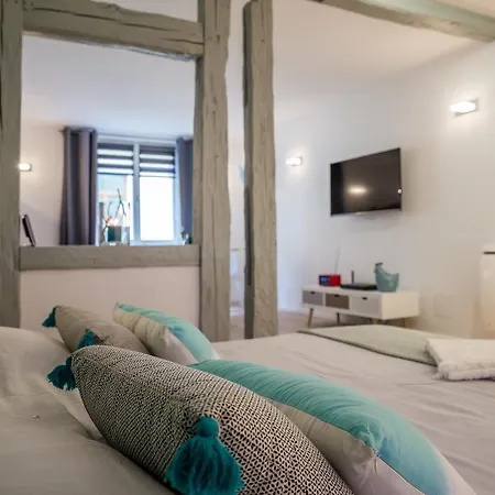 Apartment Grand Studio Centre Colmar