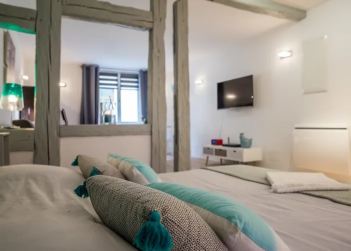 Apartment Grand Studio Centre Colmar